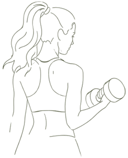 Line art of a woman curling a dumbbell